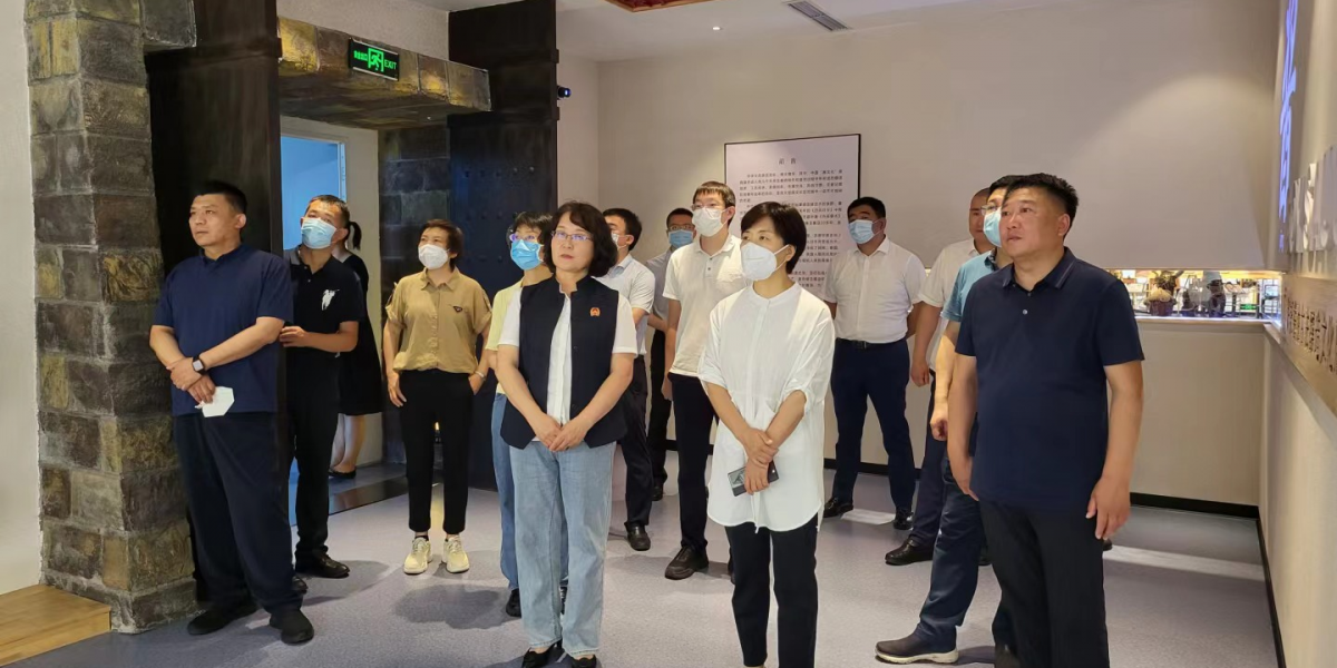 國家廣電總局公共服務(wù)司副司長修紅麗率督查組蒞臨好記公司